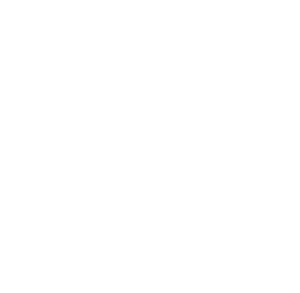 PARTNERSHIPS FOR THE GOALS